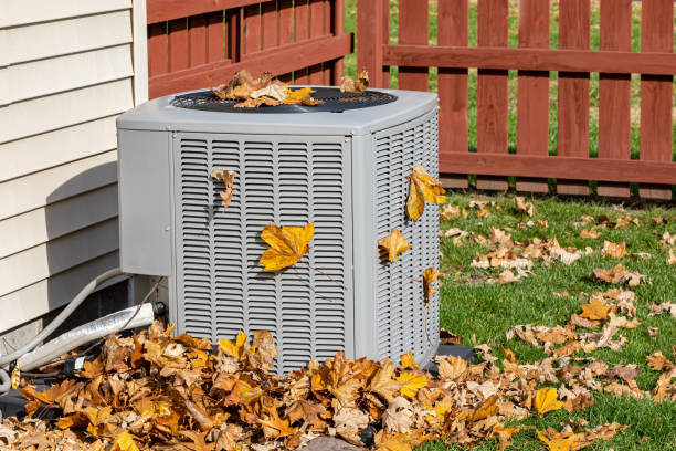Best HVAC air duct cleaning  in South Miami Heights, FL